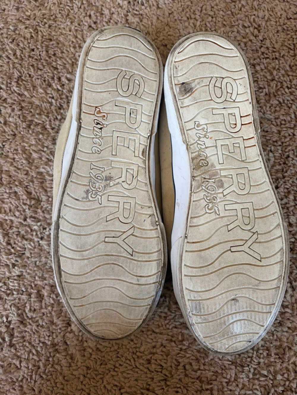 Sperry Low-Top Canvas Sneakers in Beige with Brown Laces - Picture 2 of 8